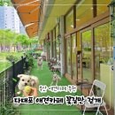 초원들 | 부산 사하구 다대포 실내 애견카페 애견 놀이터 추천 숲속 감성 산책길 코스 꽃길만 걷개