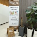 무실동마사지 더하노이풋앤바디 원주마사지샵 추천