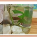 성심예아뜨어린이집 이미지