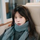 스타일펫츠 이미지