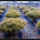 바우농장2 이미지