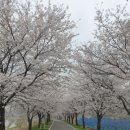 오향6리 네이버블로그