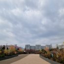 등나무근린공원 | 서울 포켓몬고 성지, 중계근린공원 &amp; 등나무근린공원 레이드 후기