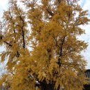 한바람이 이미지