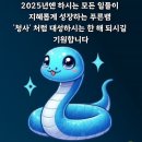 미블리,뷰티