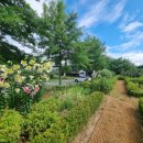 라온농장 이미지