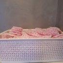 시그니처코인노래연습장 이미지