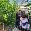 금산유치원 이미지