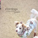 은송이네 이미지