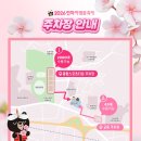 2025년 화순 명소 버스킹 | [공지] 김천 | 연화지 벚꽃 후기 2026 벚꽃 축제 정보 &amp; 야경 인생샷 명소 주차 꿀팁