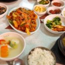 콩사랑왕국