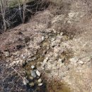 편안농장 이미지