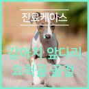 철원동물병원