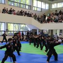 타이거 합기도 이미지