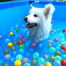 호텔델루멍 이미지