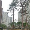 한울공원 배드민턴장 이미지