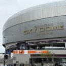 206 | 롯데자이언츠 VS 키움히어로즈 고척스카이돔 3루 다크버건디석 206구역 F열 후기