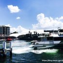 씨 라이프 이미지