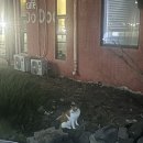 쁘띠제주빅터민박 | [제주도 숙소] 대가족이 함께 가기 좋은 공항에서 가까운 넓은 제주도 숙소 🏠쁘띠제주빅터🏠내돈내산 후기