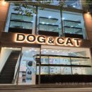 태산동물병원 | 강남강아지분양 상담 찐 후기! 독캣 강아지분양 서울 신림점, 냄새 1도 없고 친절해요