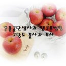 은풍골단샘사과