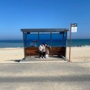 강릉 여행 코스(아르떼뮤지엄&gt;도깨비 촬영지&gt;BTS정류장&gt;수향수산&gt;갤러리밥스&gt;호텔탑스텐)