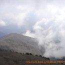 지리산산수유 이미지