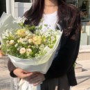 아우첼라플라워 이미지