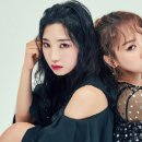 위너아이스 이미지