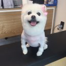 성심미용실 이미지