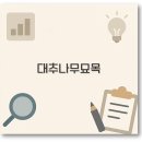 양지대추농원 | 대추나무 묘목 가격부터 사과대추 심는법까지 깔끔 정리