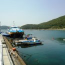 까멜리아 이미지