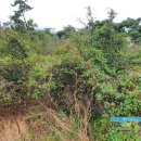 영어교육도시2교차로 3 이미지