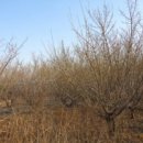 창원지방법원 진주지원청사 이미지