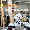 오렌지와이닝 이미지