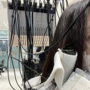 살롱더라이징 인천용현점 레이어드 C컬 펌 후기