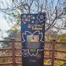 진해 남파랑길7코스+진해해양공원+우도 12월 여행