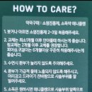 미니스피어싱 네이버블로그