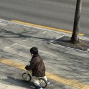 은비약국 | 완연한 봄이 지나가고