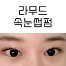 둔산동 속눈썹펌 맛집 라무드 솔직후기 (컬 예술..)