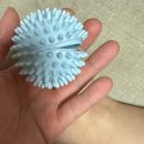 율곡빌딩 | 트레이너 일상 / 다이소 폼롤러 45 솔직 비추 후기