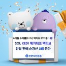 61 이미지