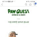 아보카토 | “강아지 노즈워크 장난감 끝판왕!” [포우퀘스트 아보카토 노즈워크 장난감 사용 후기]