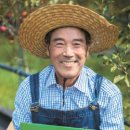 파리바게뜨영천 중앙일보