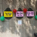 천연누리 이미지