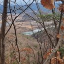 관광단지로(용상동) 이미지