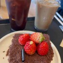 동해-단속-07 이미지