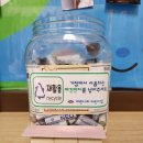 노원구리싸이클링 이미지