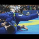 수락주짓수파라에스트라 서울 이미지