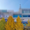 스타프라자전통시장 이미지